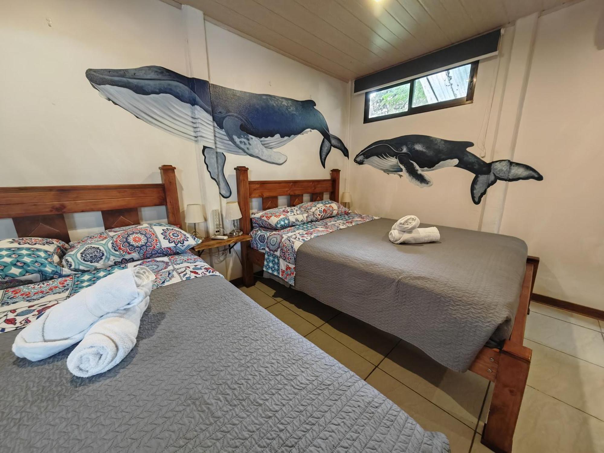 Tucan Hotel อูวีตา ห้อง รูปภาพ